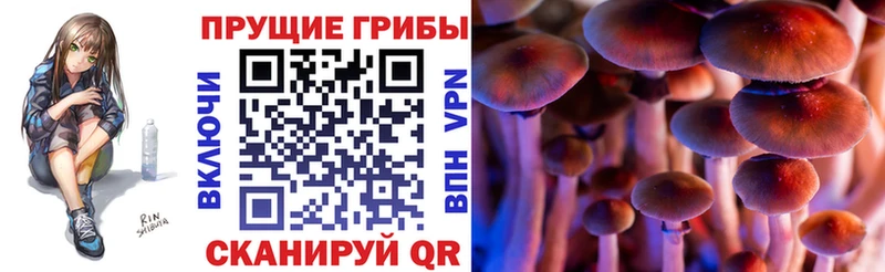 Галлюциногенные грибы Magic Shrooms  Купить  Петушки 